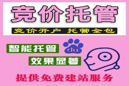 某大型企业选择SEM竞价代运营公司的决策过程与效果评估
